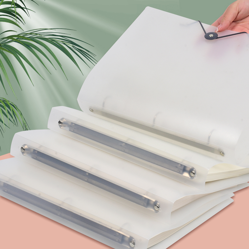 Binder Storage Box - Pasta Organizadora Transparente Fosca A4 com