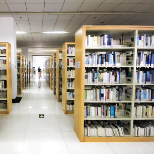 Office Furniture Factory - Prateleira para livros dupla face, direto